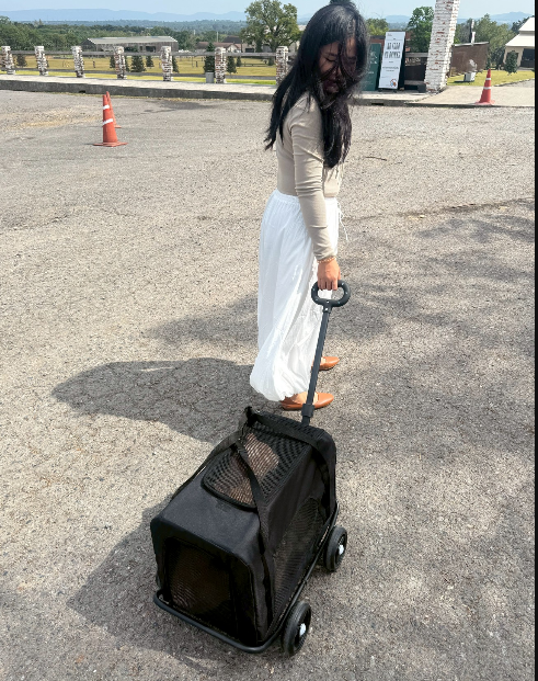 Walking with Xin and Diao